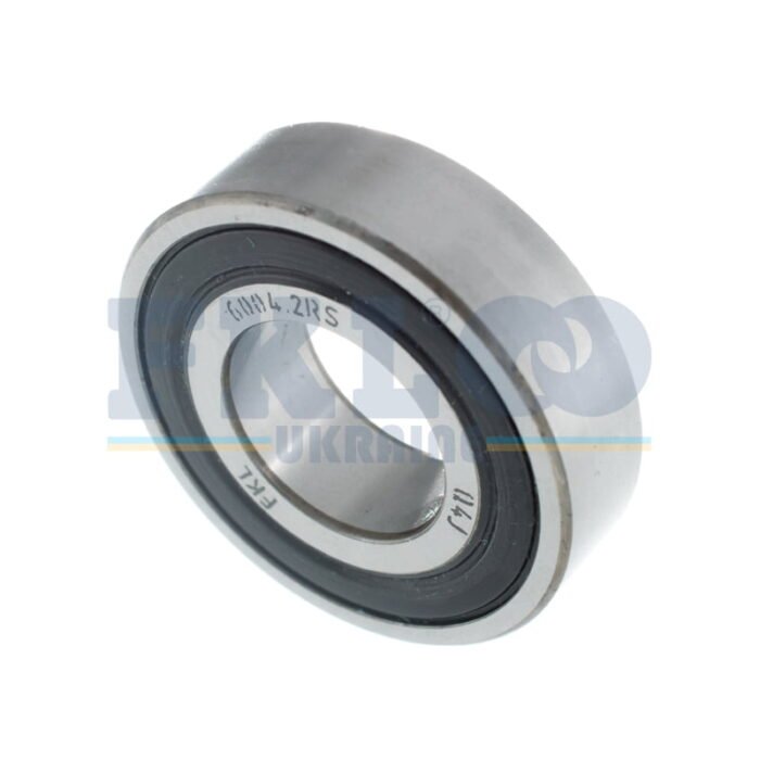6004-2rs.jpg
