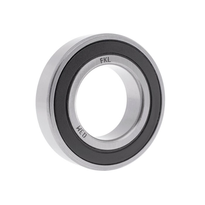 6006-2rs.jpg