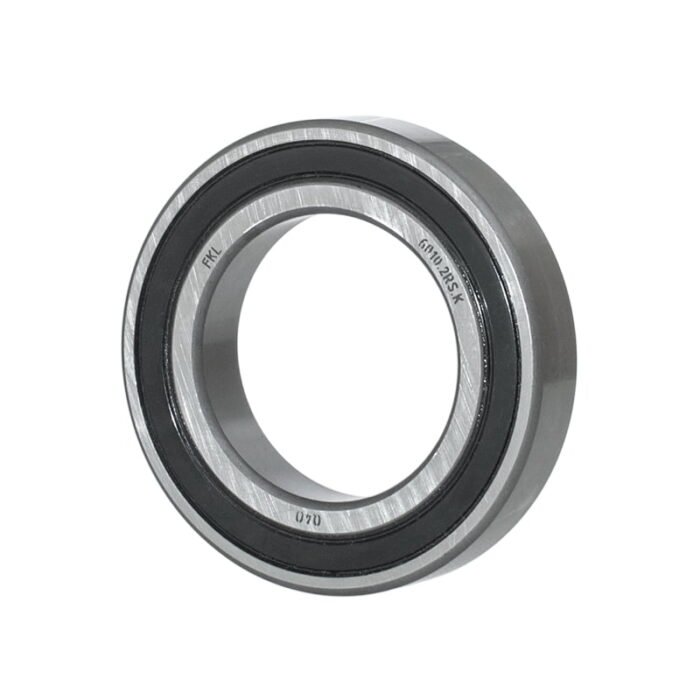 6010-2rs-k.jpg